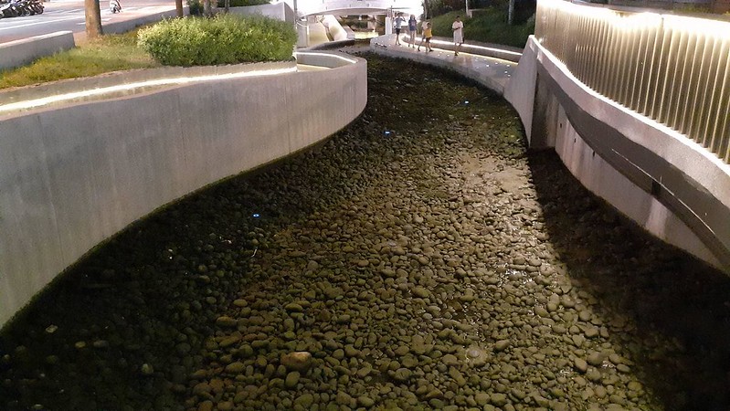 中市綠川魚群突暴斃、活魚將全移走