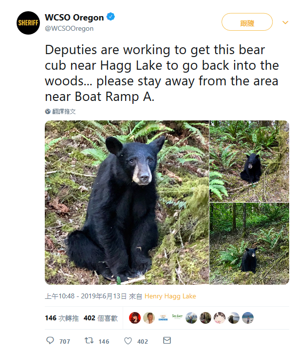 小熊被餵食、拍照不怕人 竟害牠被安樂死