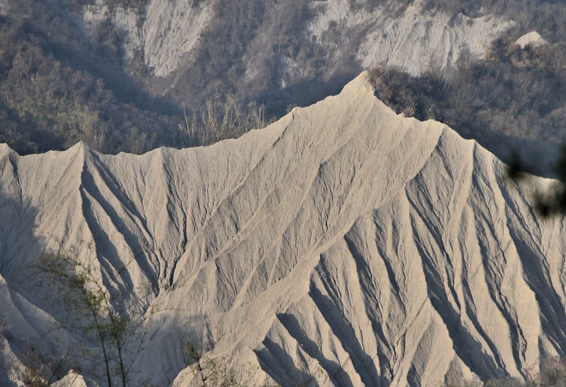 龍崎月世界劃自然保育區？市府率環團會勘 歐欣這樣說